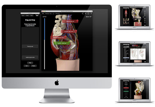 Hip Pro III with Animations 3.8 for Mac|Mac版下载 |