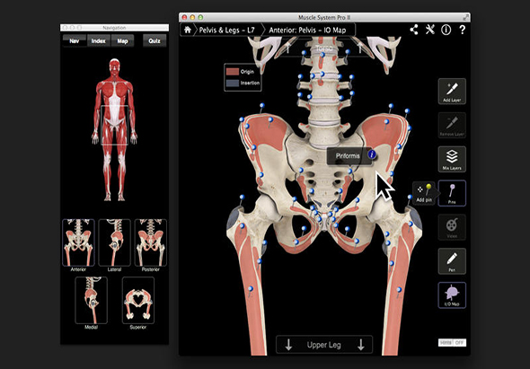 Muscle System Pro III 肌肉骨骼系统 3.8 for Mac|Mac版下载 |