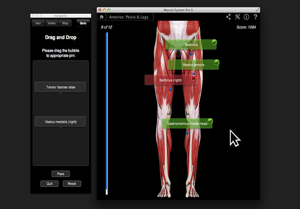Muscle System Pro III 肌肉骨骼系统 3.8 for Mac|Mac版下载 |