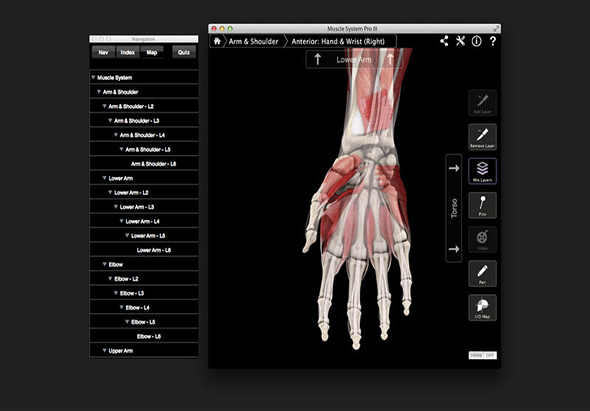Muscle System Pro III 肌肉骨骼系统 3.8 for Mac|Mac版下载 |
