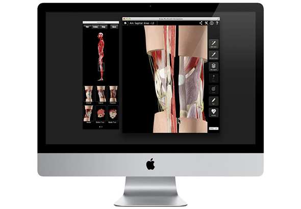 Knee Pro III with Animations 3.8 for Mac|Mac版下载 |