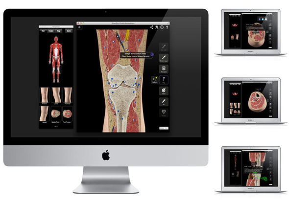 Knee Pro III with Animations 3.8 for Mac|Mac版下载 |