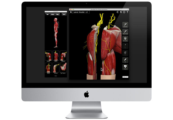 Shoulder Pro III with Animations 肩部组织动画 3.8 for Mac|Mac版下载 | 