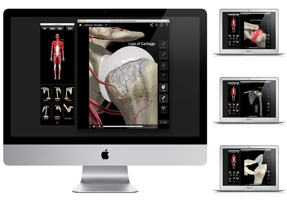 Shoulder Pro III with Animations 肩部组织动画 3.8 for Mac|Mac版下载 | 