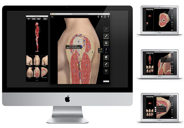 Shoulder Pro III with Animations 肩部组织动画 3.8 for Mac|Mac版下载 | 