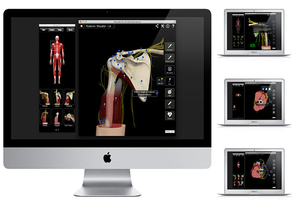 Shoulder Pro III with Animations 肩部组织动画 3.8 for Mac|Mac版下载 | 