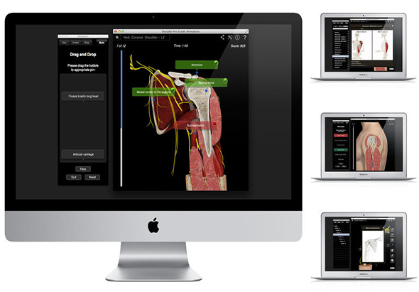 Shoulder Pro III with Animations 肩部组织动画 3.8 for Mac|Mac版下载 | 