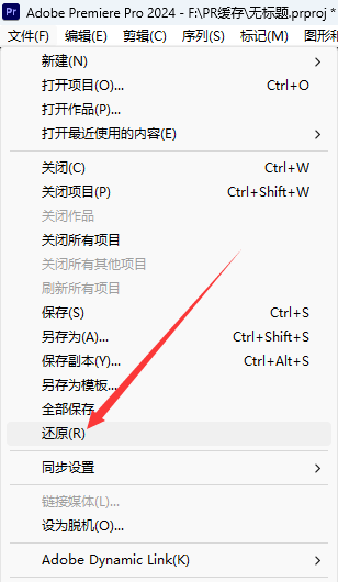 Adobe 2024 全家桶最新版下载ps2024、ae2024、pr2024正式版-17