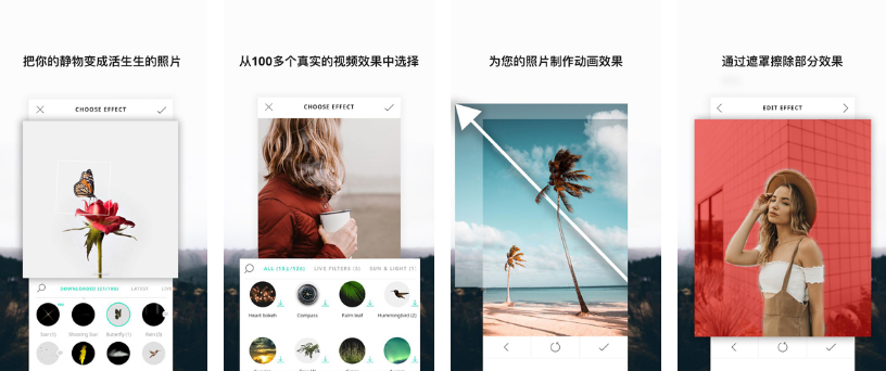 VIMAGE 3.png VIMAGE 3.png