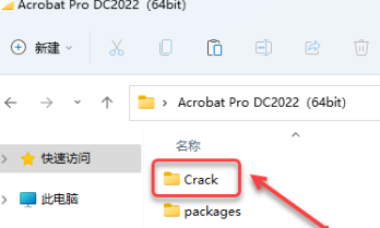 Acrobat Pro DC 2022下载及安装教程-10 Acrobat Pro DC 2022下载及安装教程-10