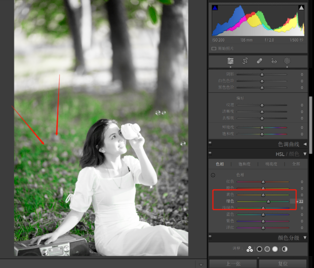 Adobe Lightroom Classic 2024 v13.0.0.15 免费下载 安装教程-8