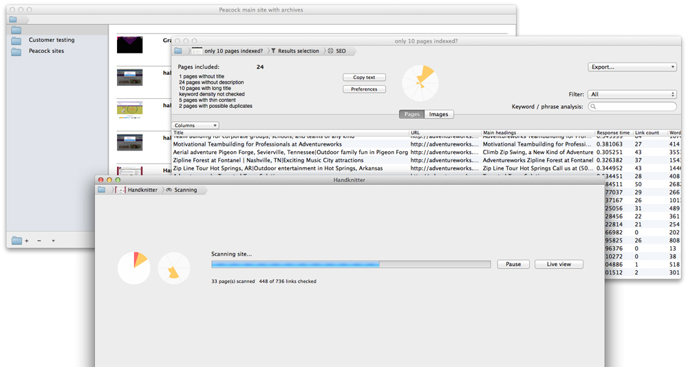 Scrutiny for Mac 12.7.12 破解版 - Mac上优秀的网站SEO检测和优化工具