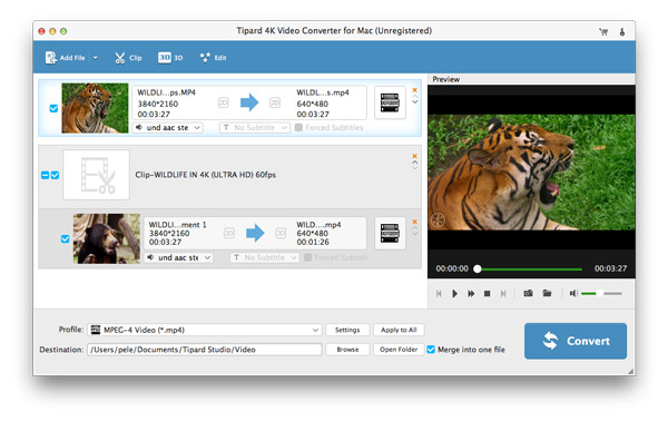 Tipard 4K Video Converter for Mac 9.1.32 破解版 4K视频转换器