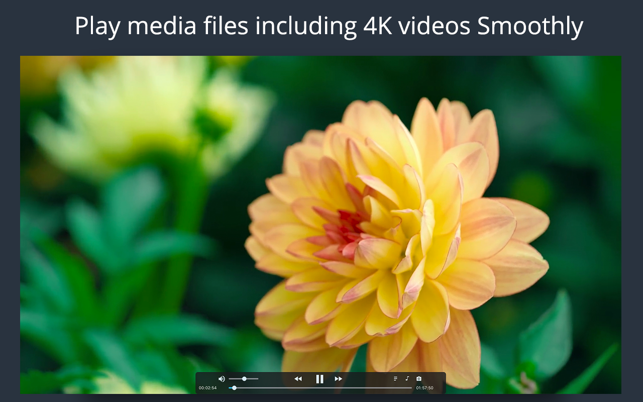 iFunia Media Player for Mac 4.0.0 破解版 强大的高清媒体播放器