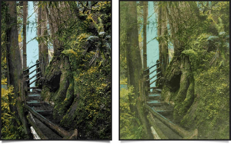 JixiPix Hand Tint Pro for Mac 1.0.20 破解版 图片处理软件