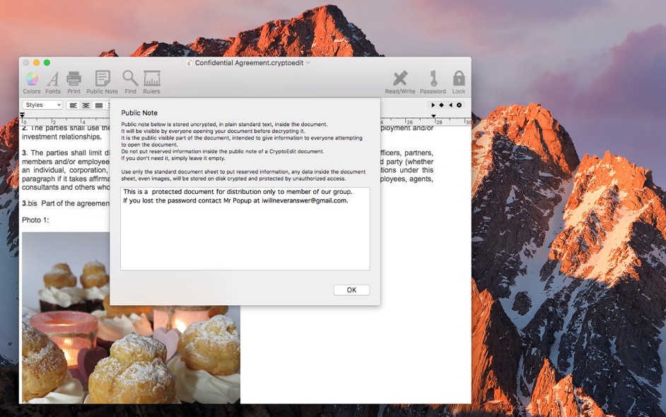 CryptoEdit 2.6 Mac 破解版 - 功能强大且安全的文本编辑器