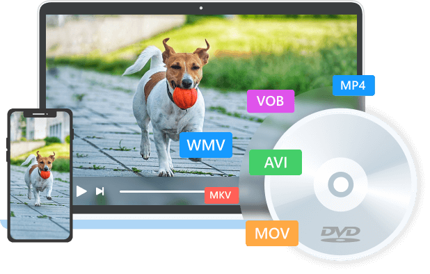 AnyRec DVD Creator 1.0.8 Mac 破解版 DVD影碟制作机