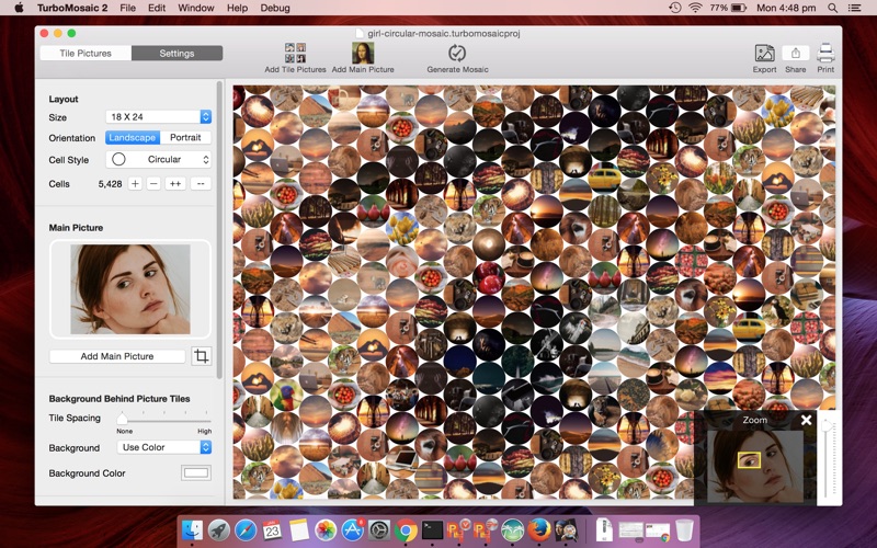 TurboMosaic 3 for Mac 3.6.9 破解版 - 马赛克图片制作工具