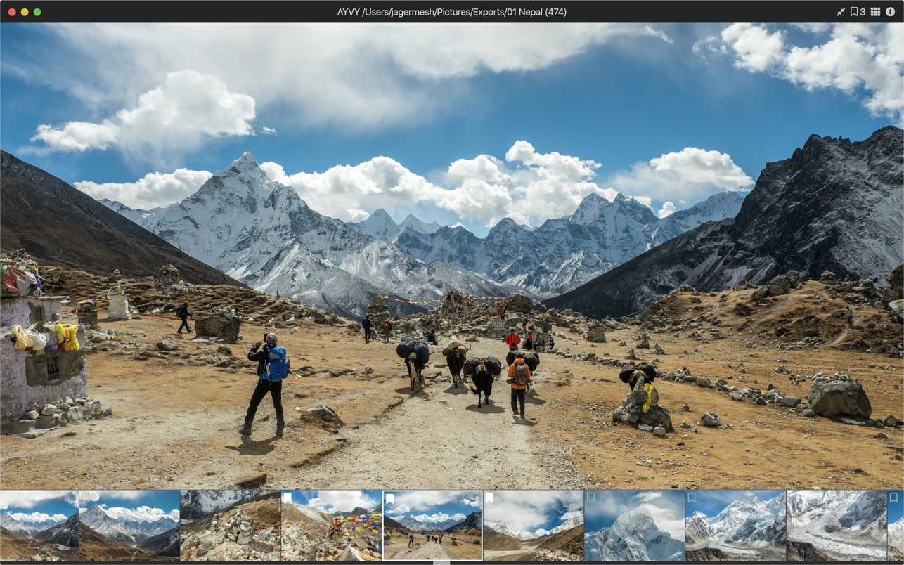 AYVY 1.22.2 Mac 破解版 媒体查看器