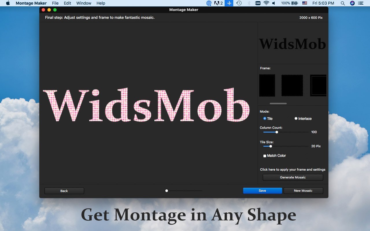 WidsMob Montage 2.24 Mac 破解版 - 优秀的蒙太奇图片制作应用