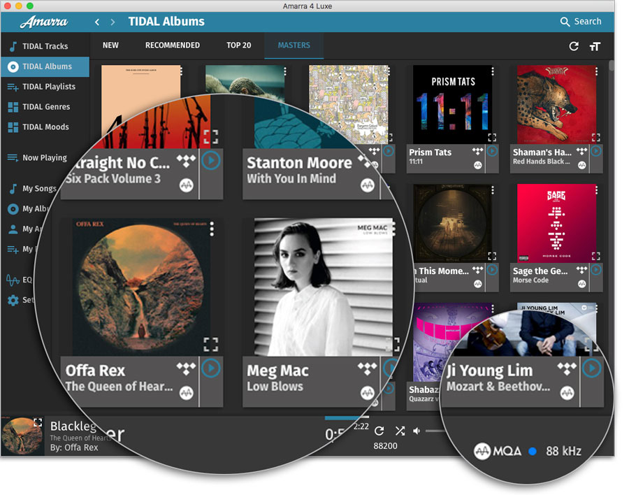 Amarra Luxe 4.3.510 Mac 破解版 - 音乐增强播放器