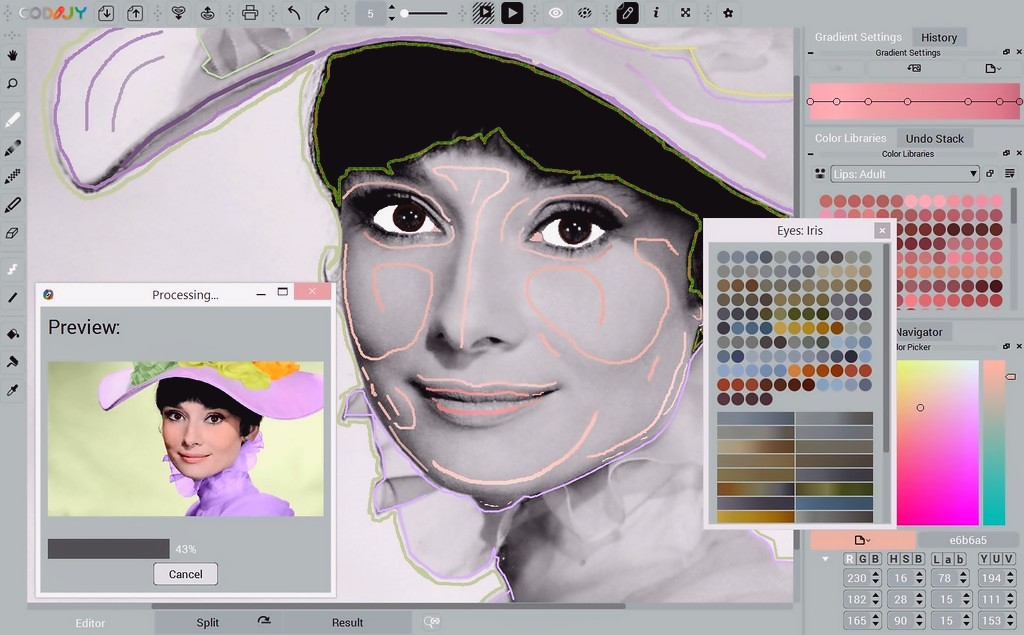 CODIJY Recoloring 4.2.0 Mac 破解版 图片上色工具