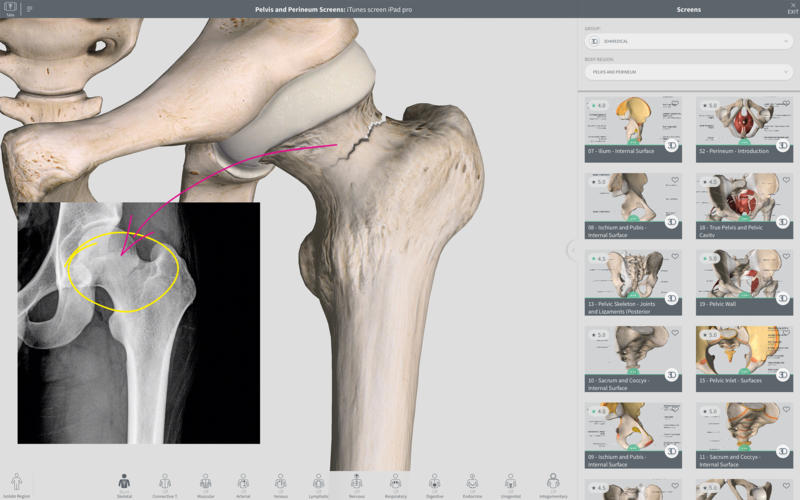 Complete Anatomy 2019 4.0.1 Mac 破解版 - 强大的3D医学人体模型