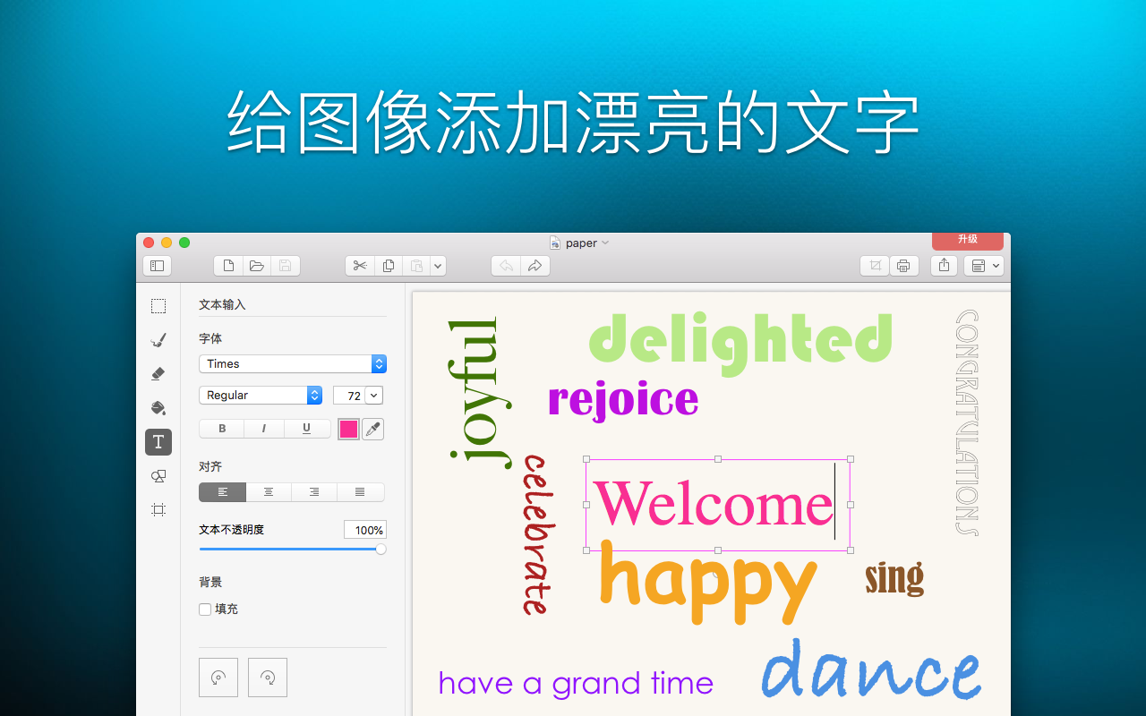 Paint X 6.0 Mac 破解版 时尚而简洁的绘图应用程序