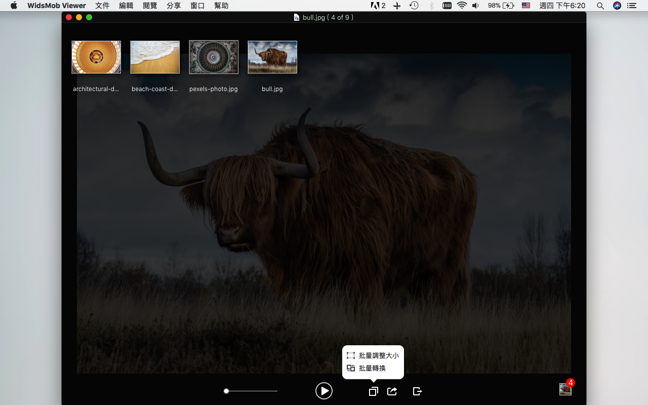 WidsMob Image Viewer 2.10 Mac 破解版 快速JPG / PNG / RAW图像查看器