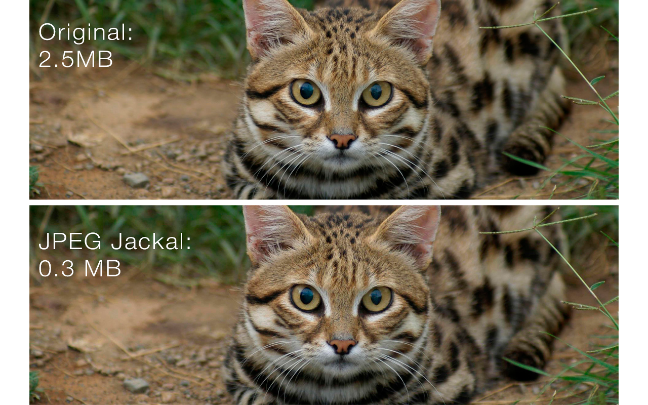 JPEG Jackal 2.0.5 Mac 破解版 jpeg图片压缩神器