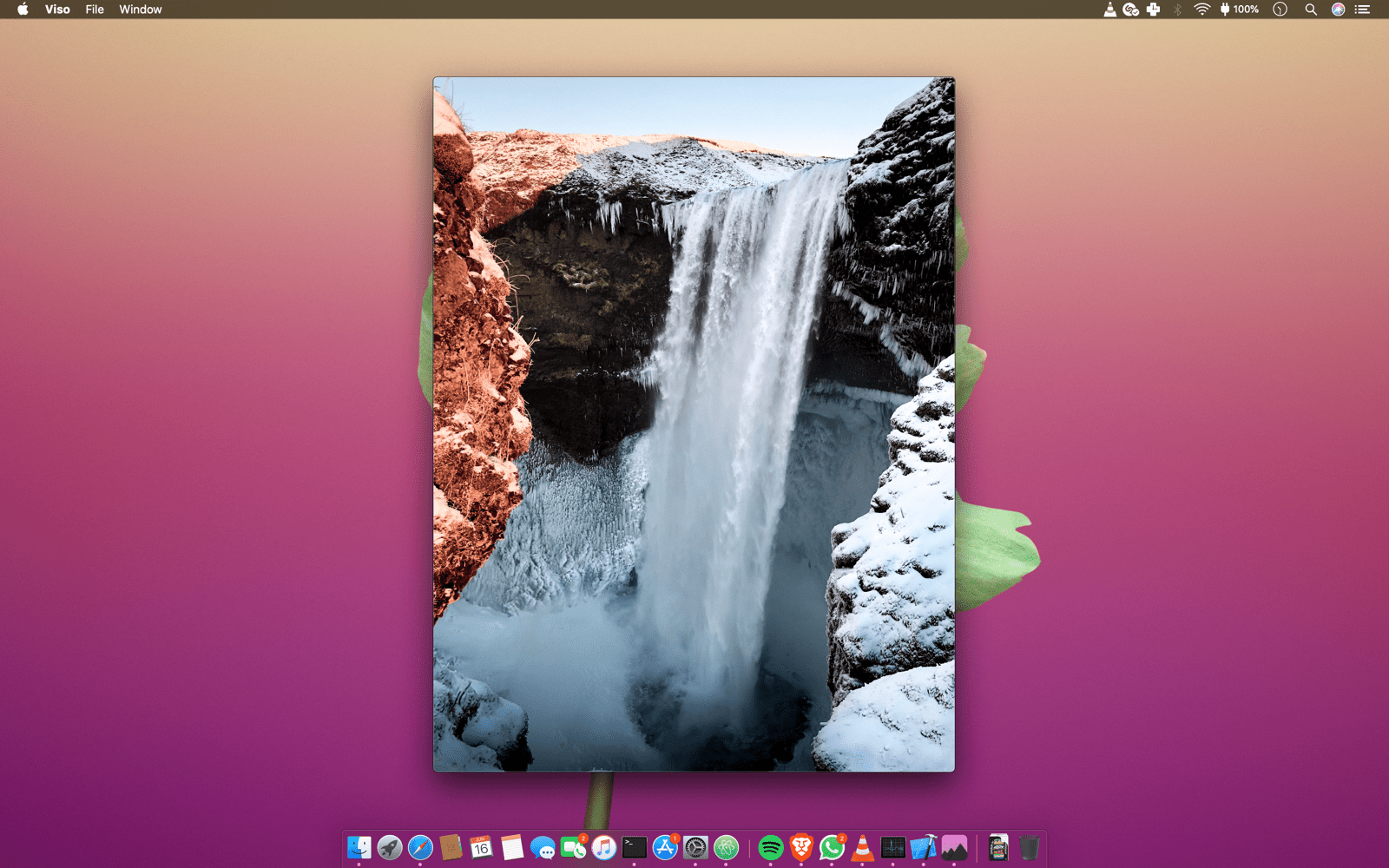 Viso Mac 破解版 图片查看器