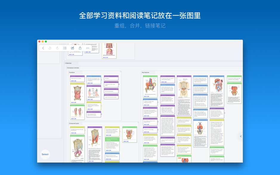 MarginNote 3.5.9 Mac 破解版 一款会重塑学习方式的阅读笔记工具