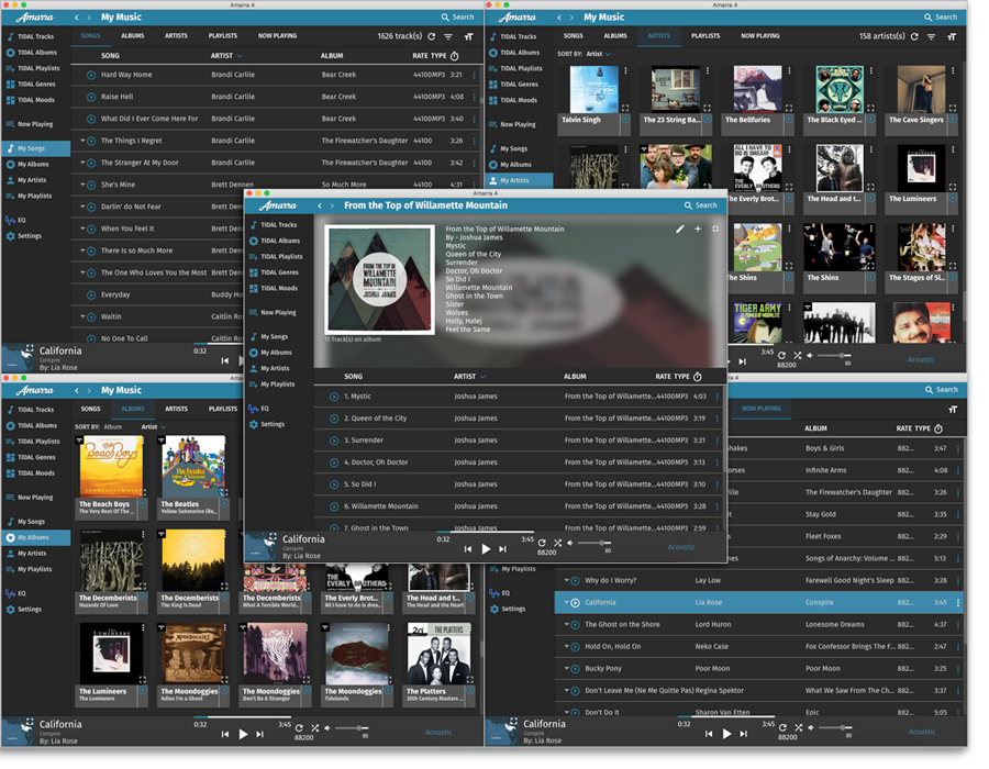 Amarra Luxe 4.3.510 Mac 破解版 - 音乐增强播放器