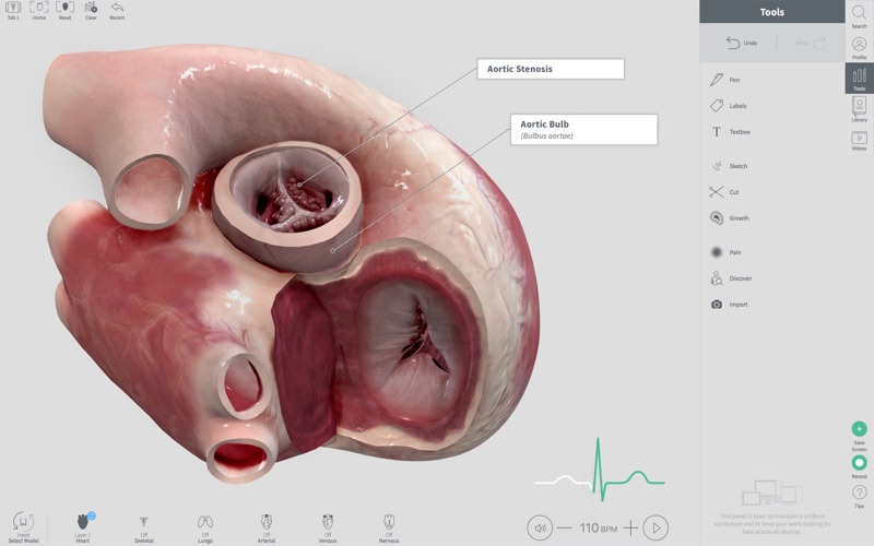 Complete Heart for Mac 1.1 破解版 - 3D心脏医学参考模型