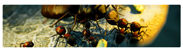 地下蚁国 Empires of the Undergrowth 0.2324 Mac 中文破解版 蚁群模拟战略游戏