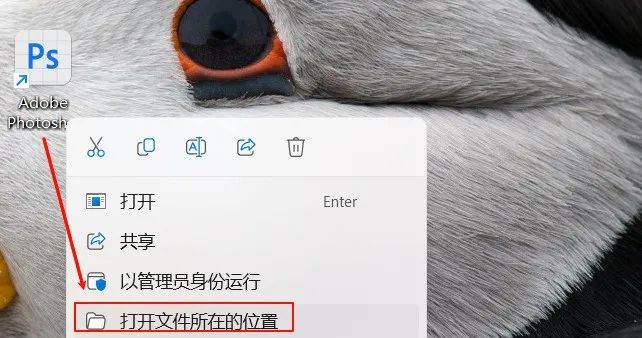PS2024 25.4蓝猫AI版 Photoshop 2024 Beta下载安装教程+永久使用-14 PS2024 25.4蓝猫AI版 Photoshop 2024 Beta下载安装教程+永久使用-14