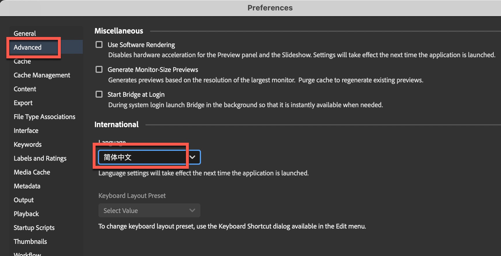 Adobe Bridge 2024 for mac(Br2024)文件管理浏览 14.0.1.137中文永久使用下载-3