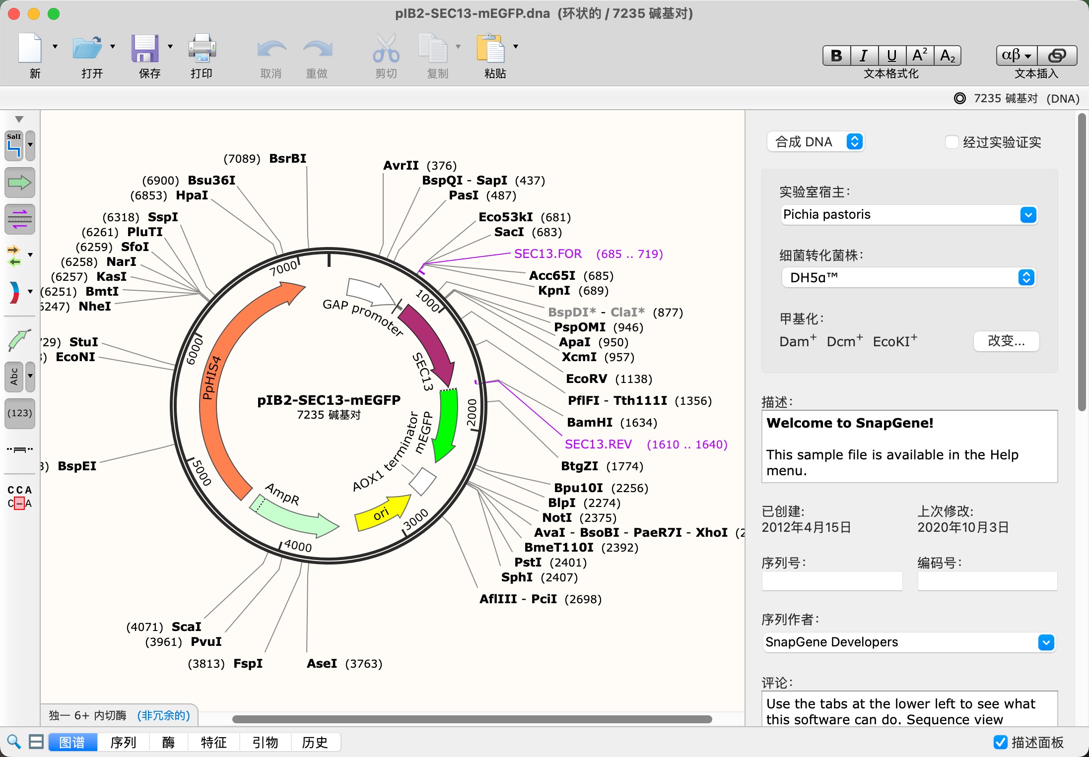 SnapGene for mac(DNA序列生物分析) 5.3.1 中文激活版下载